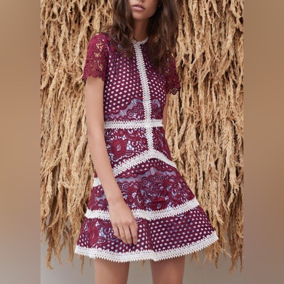 Alexis Rustikan Burgundy and Baby Blue Lace Mini Dress - Picture 3 of 7